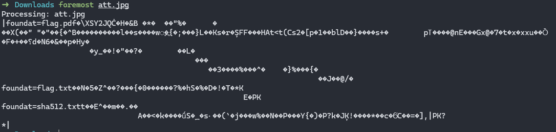 image-20241130182921007