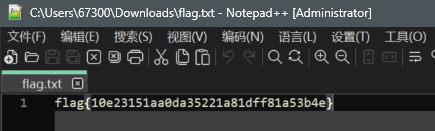 image-20241130184853098